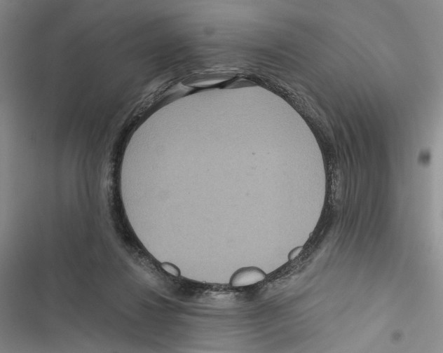 X0000116890260201001191811