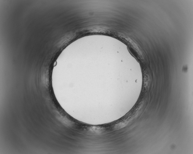 X0000116890261201001191811