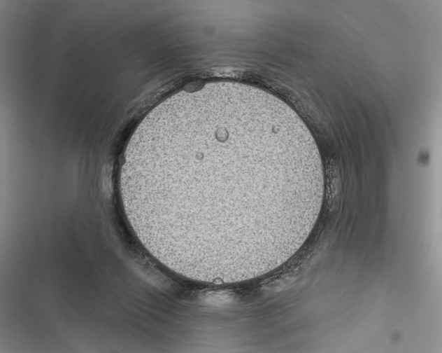 X0000116890262201001191811