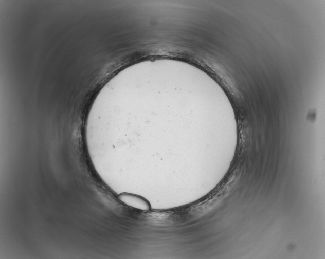 X0000116890265201001191811