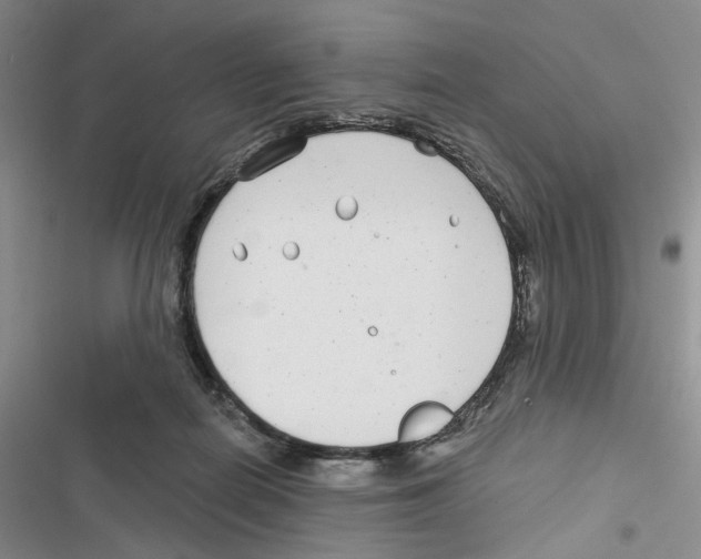 X0000116890266201001191811