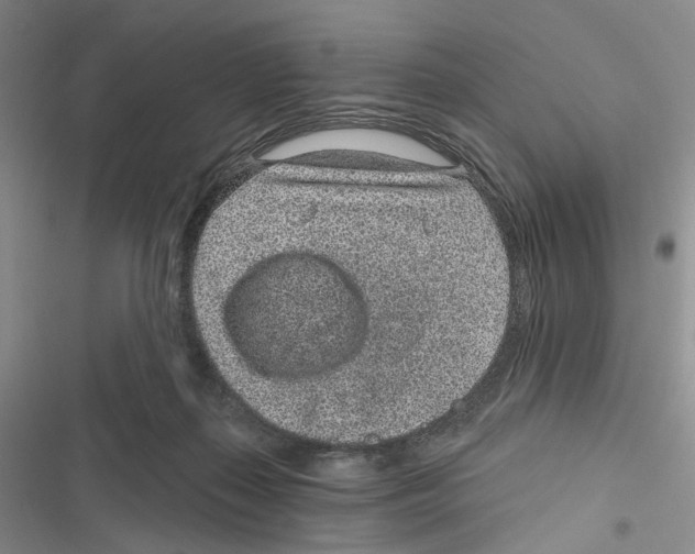 X0000116890267201001191811