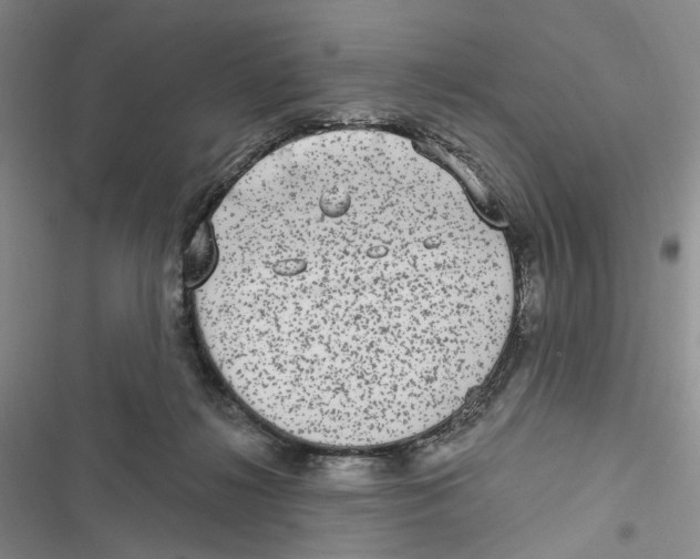 X0000116890268201001191811