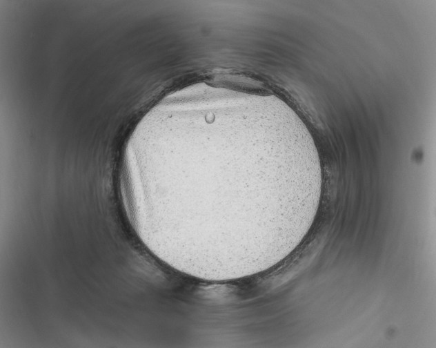 X0000116890269201001191811