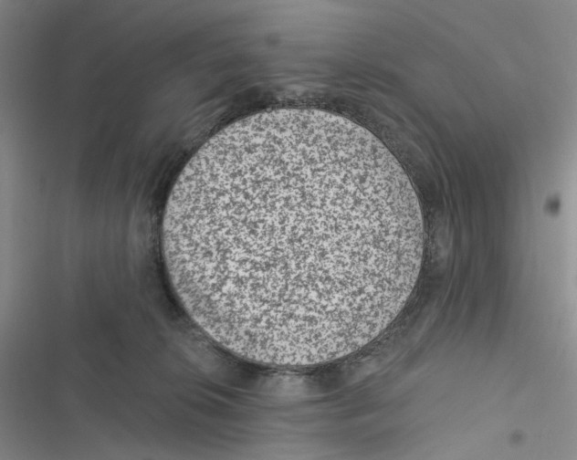 X0000116890276201001191812