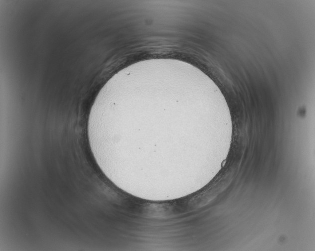 X0000116890277201001191812