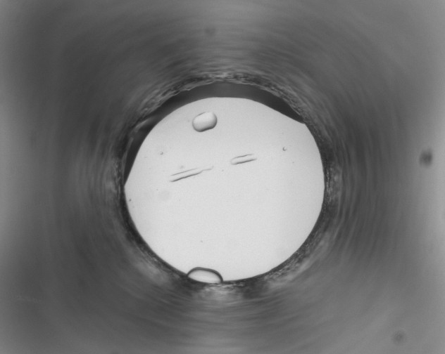 X0000116890280201001191812