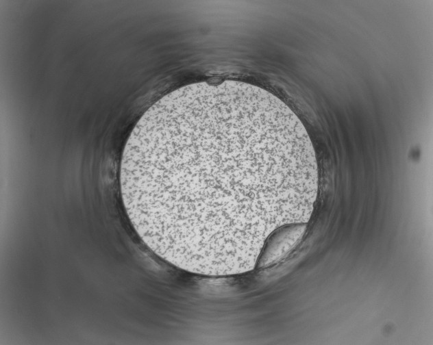 X0000116890281201001191812