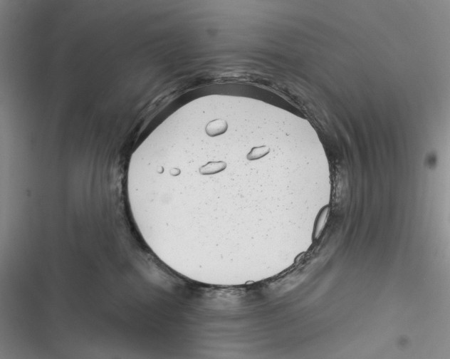 X0000116890282201001191812