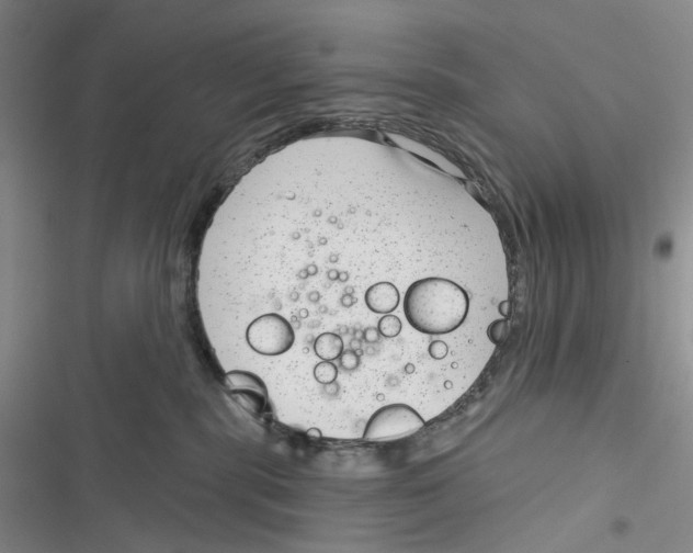 X0000116890283201001191812