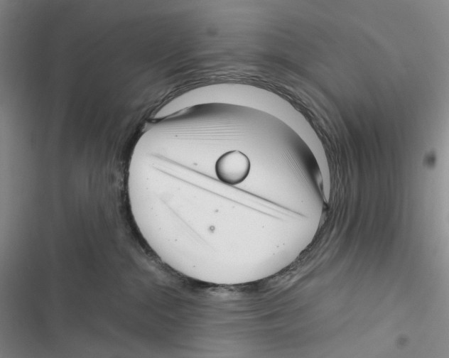 X0000116890284201001191812