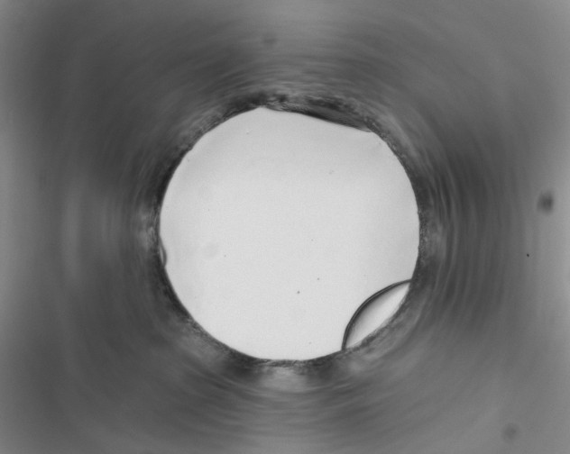 X0000116890285201001191812