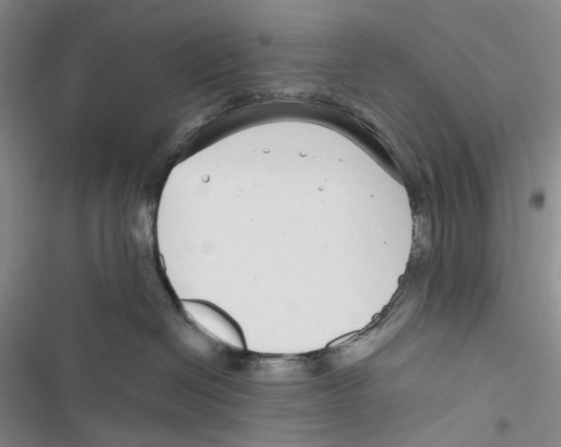 X0000116890286201001191812