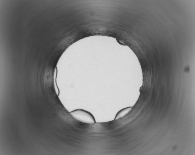 X0000116890287201001191812