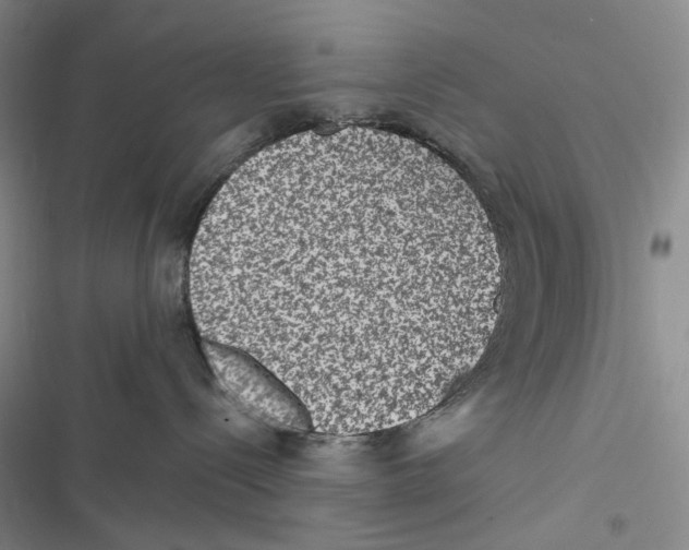 X0000116890288201001191812