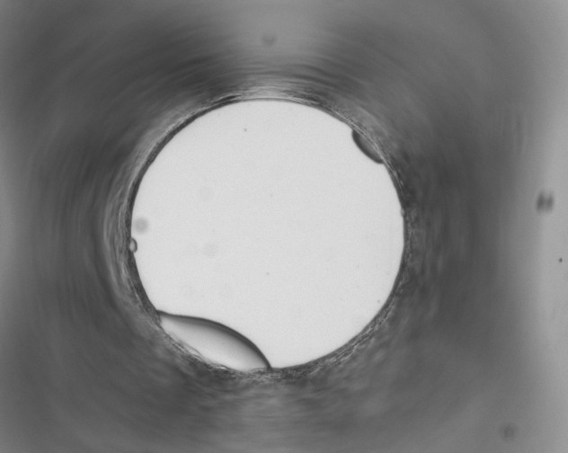 X0000116890289201001191811