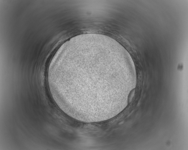 X0000116890290201001191811