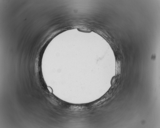 X0000116890291201001191811