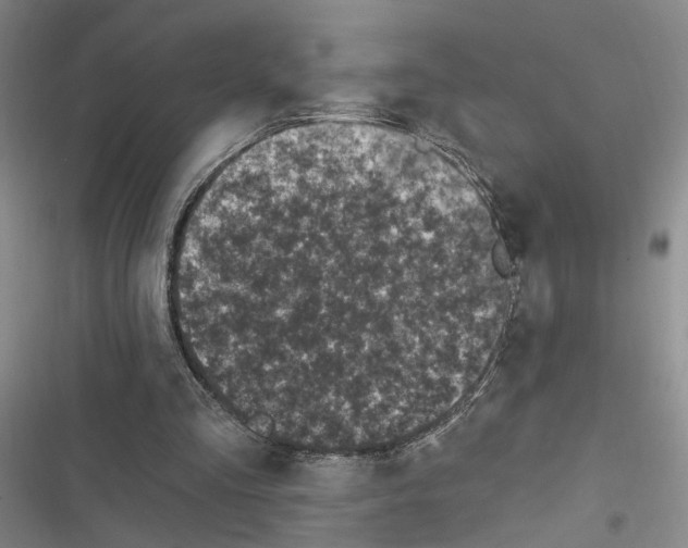 X0000116890293201001191811