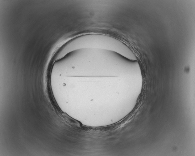 X0000116890294201001191811