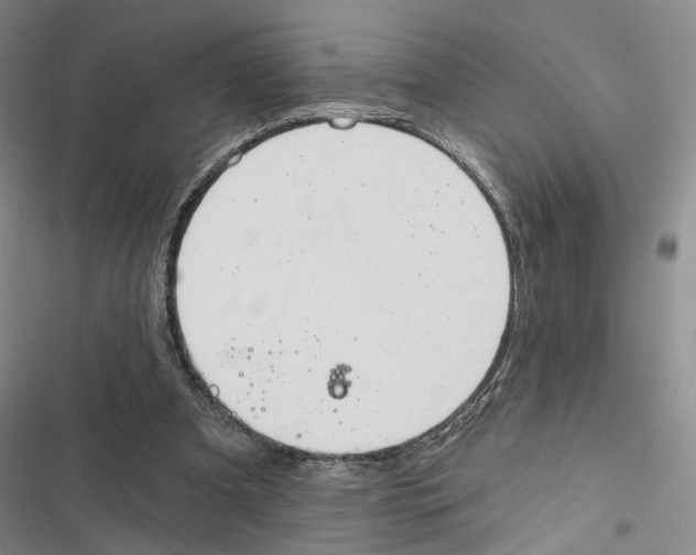 X0000116890297201001191811