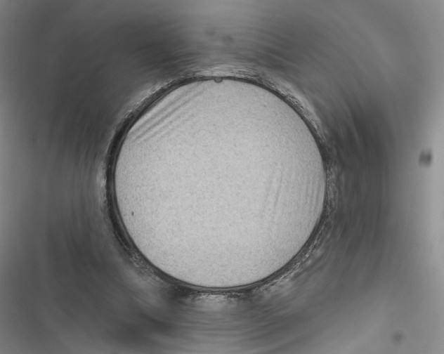 X0000116890298201001191811