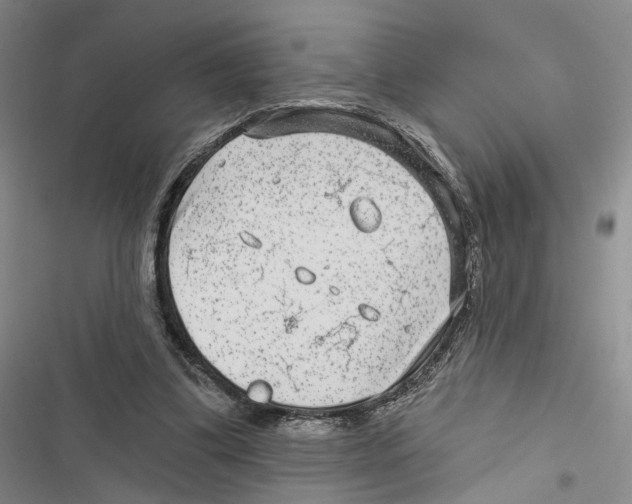 X0000116890299201001191811