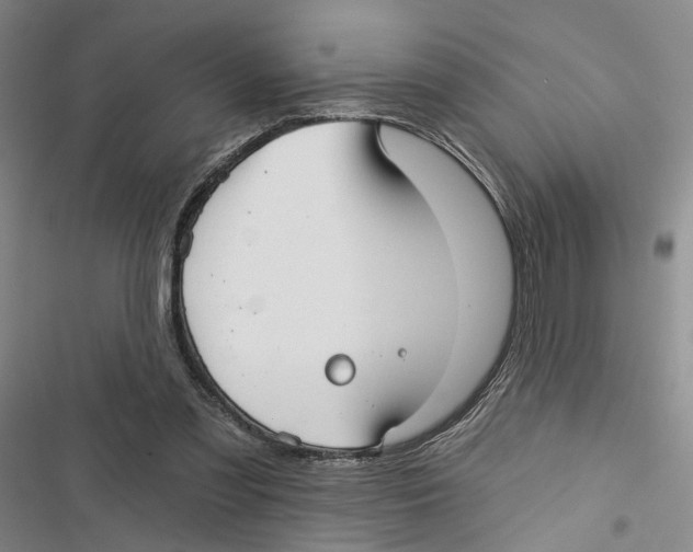 X0000116890301201001191811