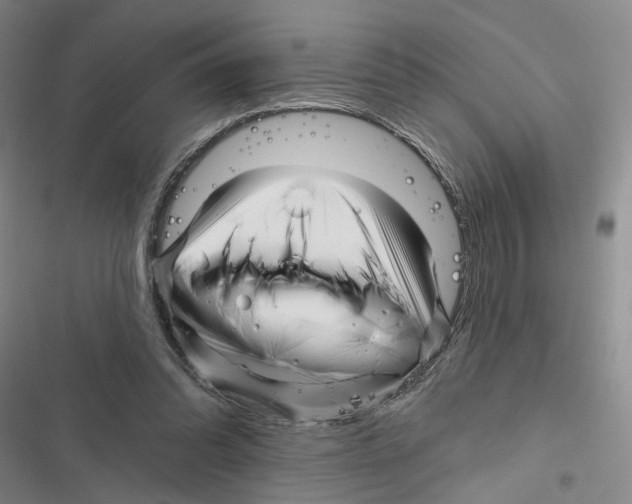 X0000116890302201001191811