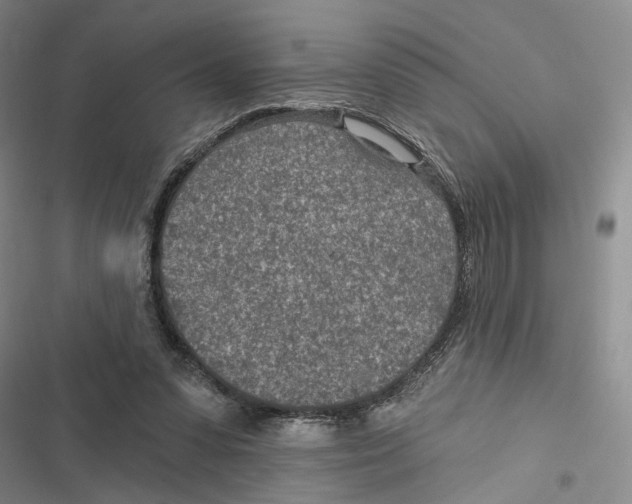 X0000116890303201001191811