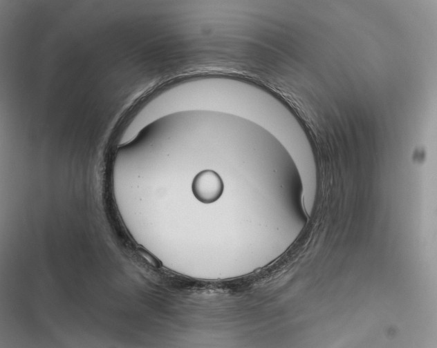 X0000116890304201001191811