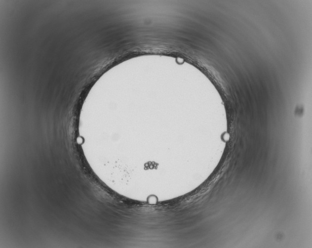 X0000116890305201001191811