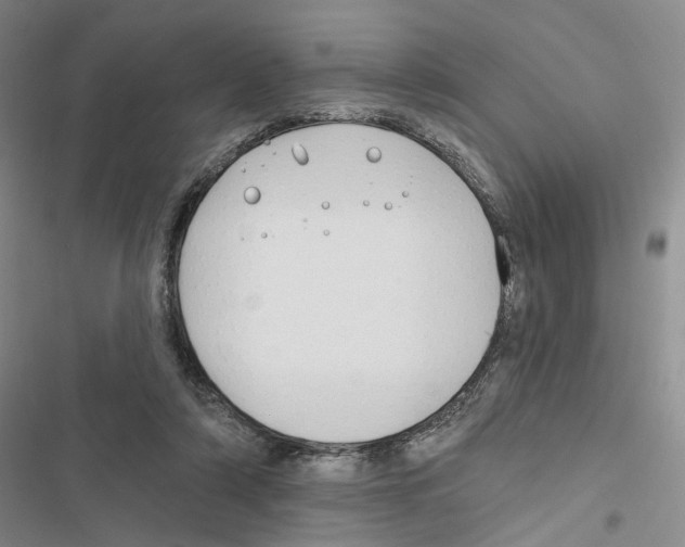 X0000116890306201001191811