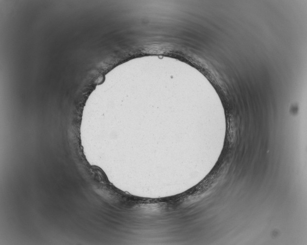 X0000116890307201001191811