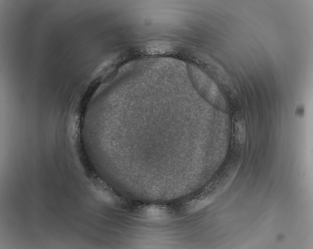 X0000116890308201001191811