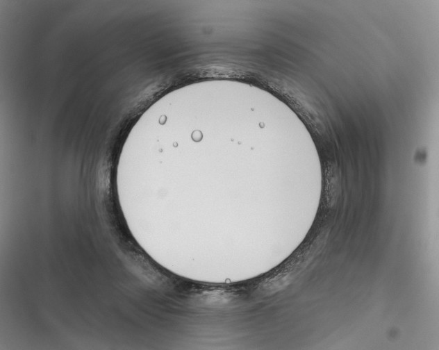 X0000116890310201001191811