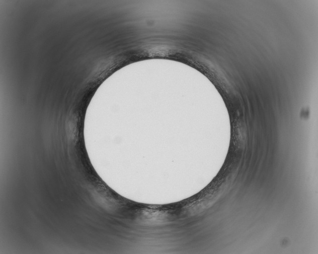 X0000116890311201001191811