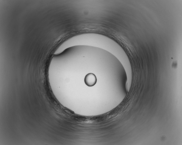 X0000116890312201001191811