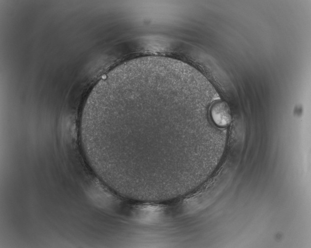 X0000116890313201001191811