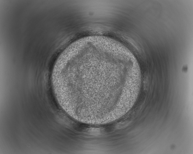 X0000116890314201001191811