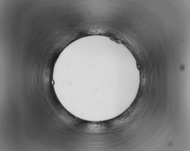 X0000116890315201001191811