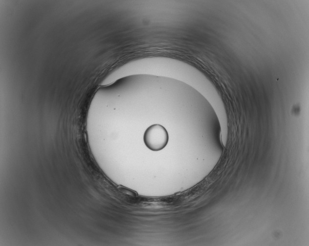 X0000116890316201001191811