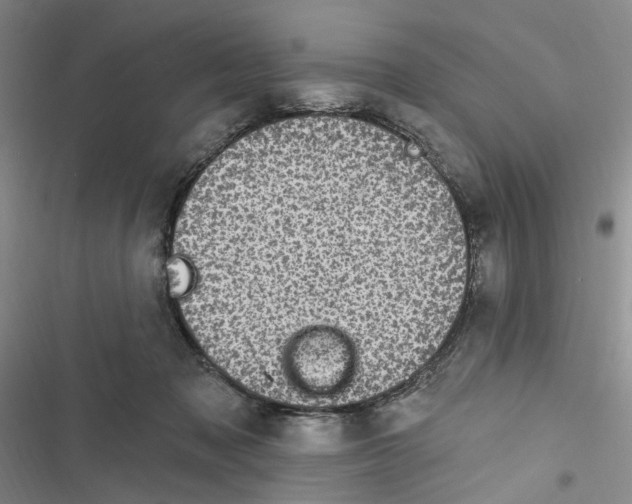 X0000116890317201001191811