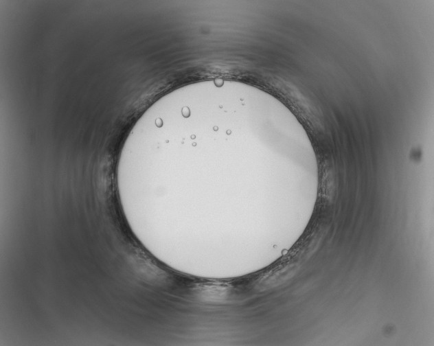 X0000116890318201001191811