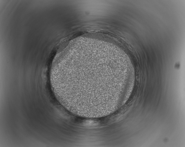 X0000116890319201001191811