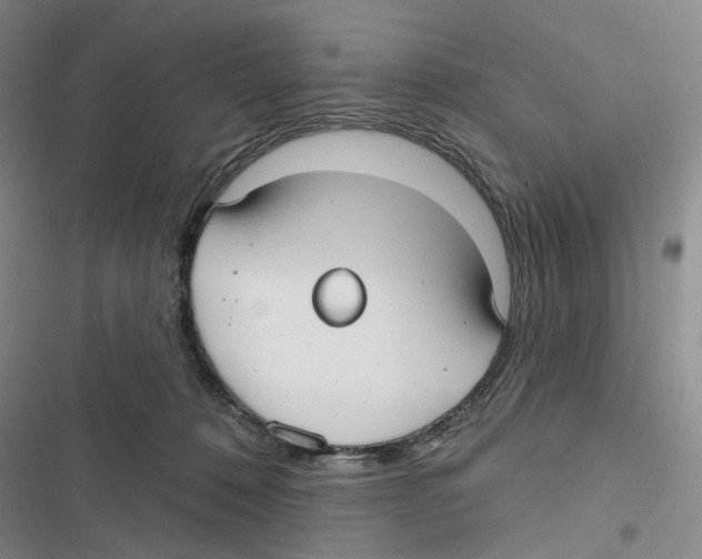 X0000116890320201001191811