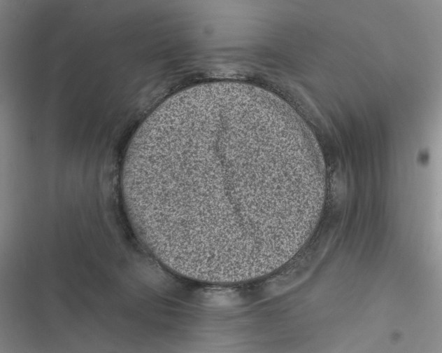 X0000116890322201001191811