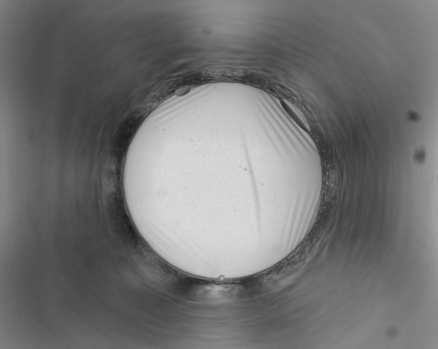 X0000116890323201001191811