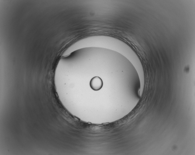 X0000116890325201001191811