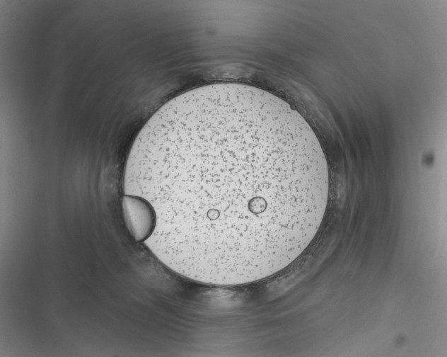 X0000116890326201001191811